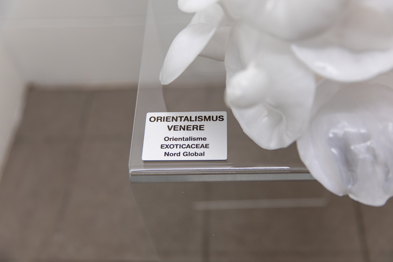 Détail sculpture socle plexiglas